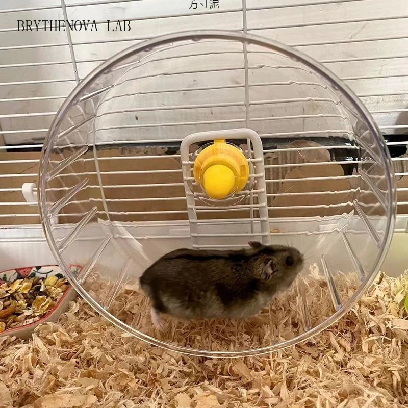 Hamster Cage Wheel - Ruota per Hamster con Supporto Trasparente