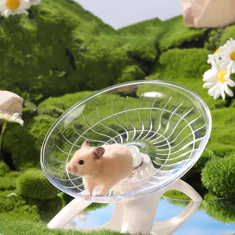 Hamster Cage Wheel - Ruota Silenziosa per Esercizio di Corsa
