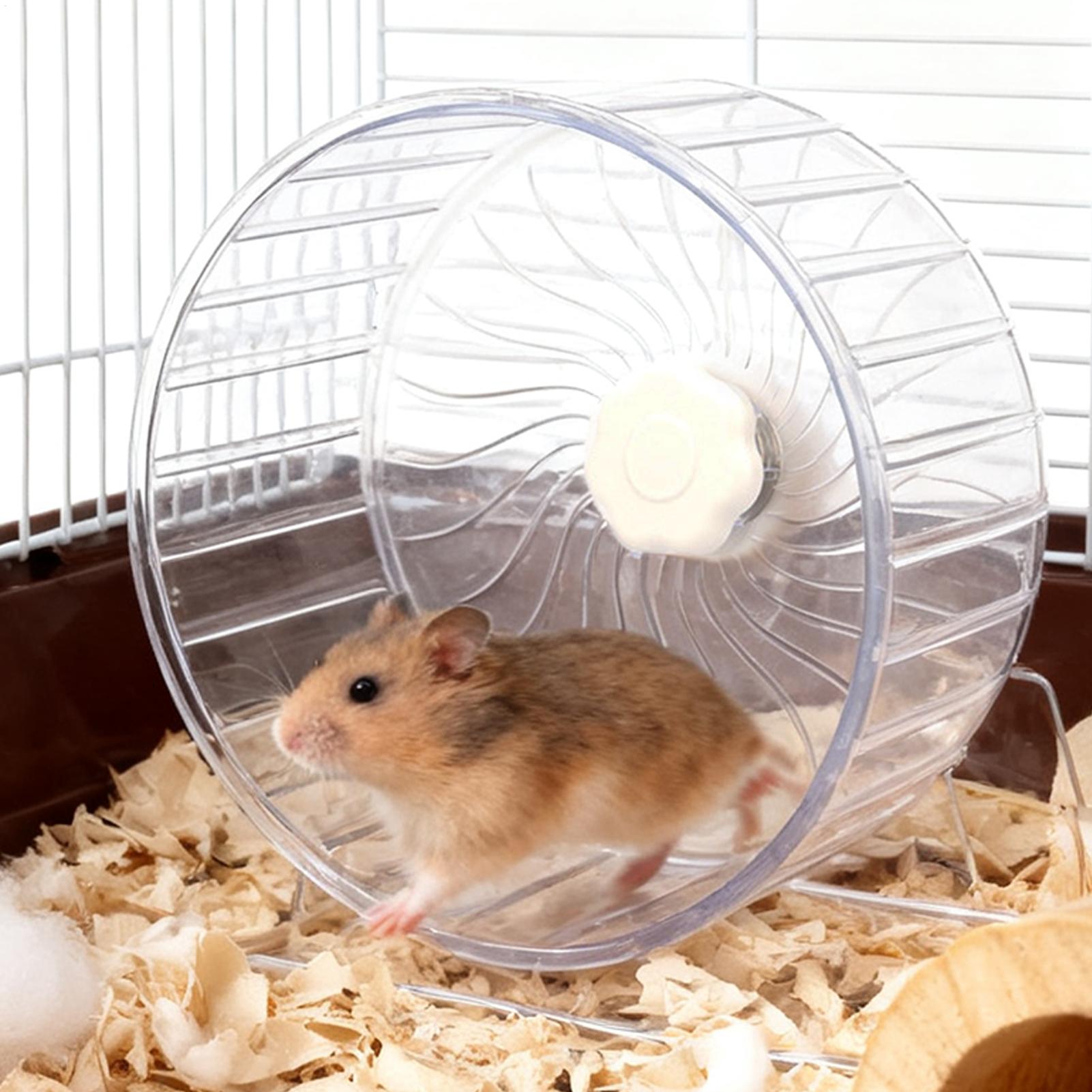 Hamster Cage Wheel - Ruota da Corsa Trasparente Allargata per