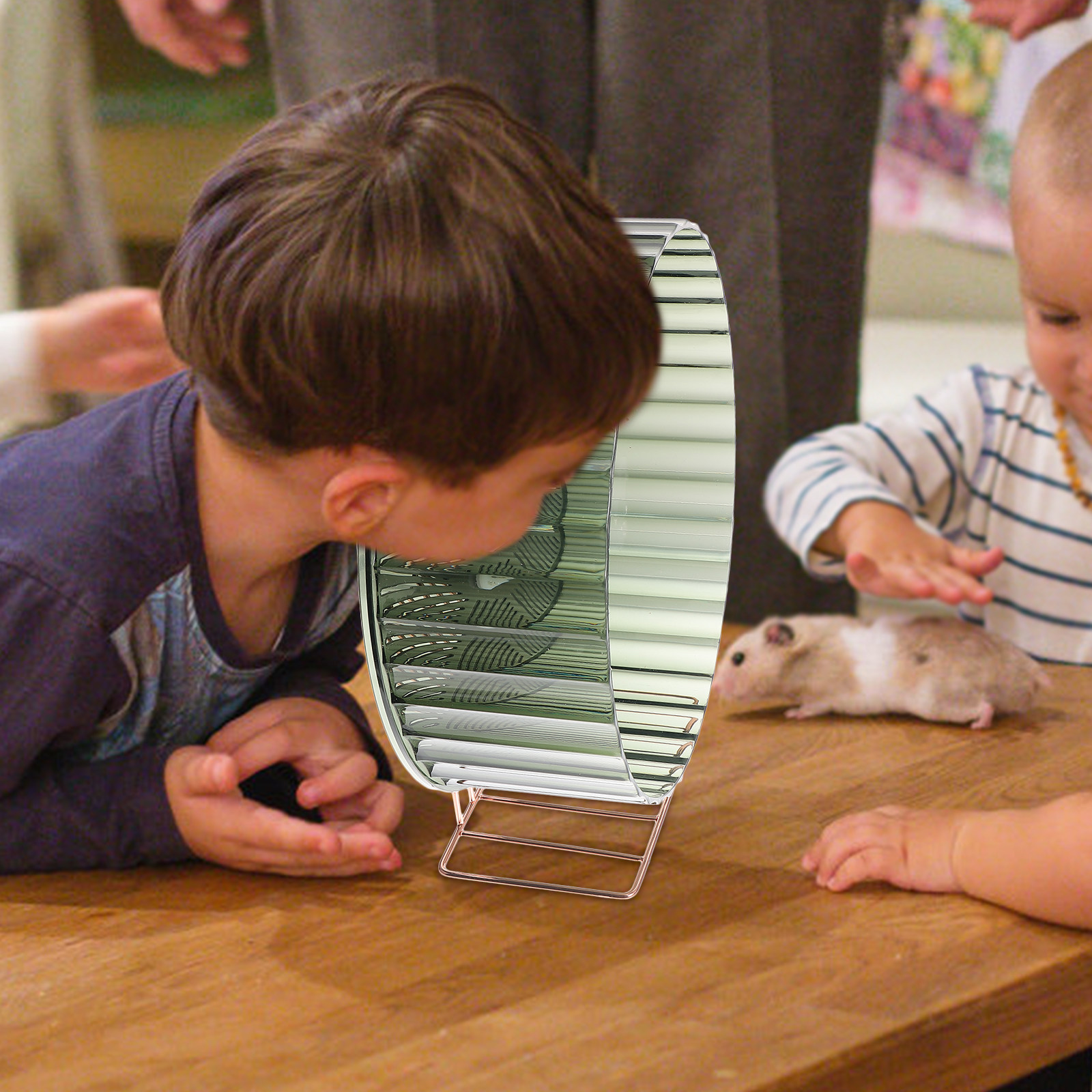 Hamster Cage Wheel - Ruota per Esercizi per Criceti, Riccio,