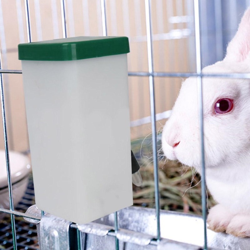 Pet Supplies App - Dispenser d'Acqua per Animali Domestici, Bottiglia