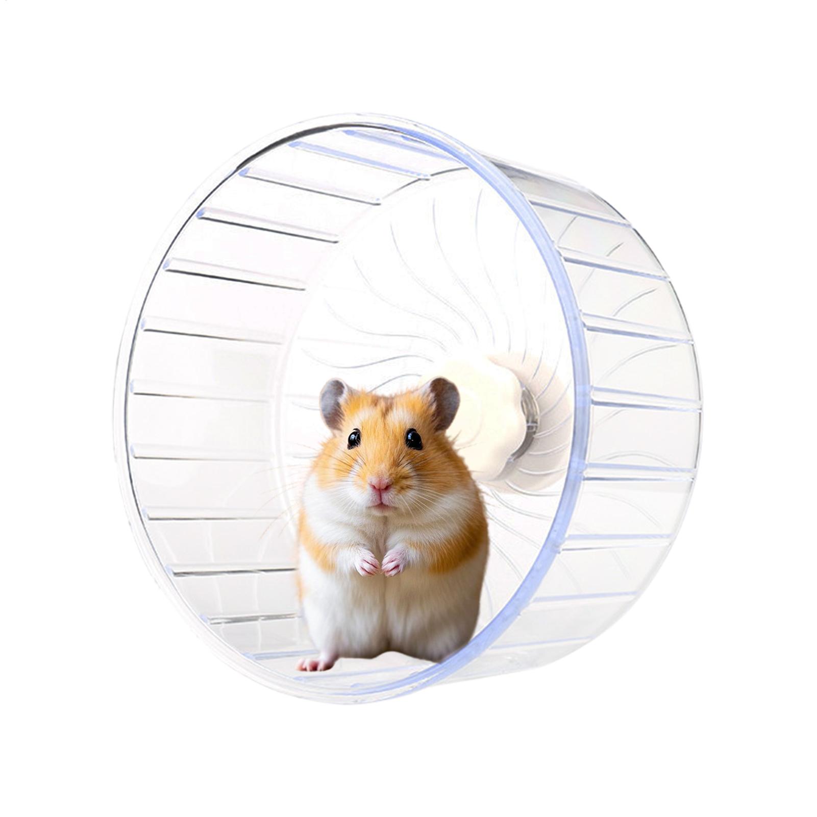 Ruota da Corsa Trasparente All - Hamster Cage Wheel recensione e prezzo