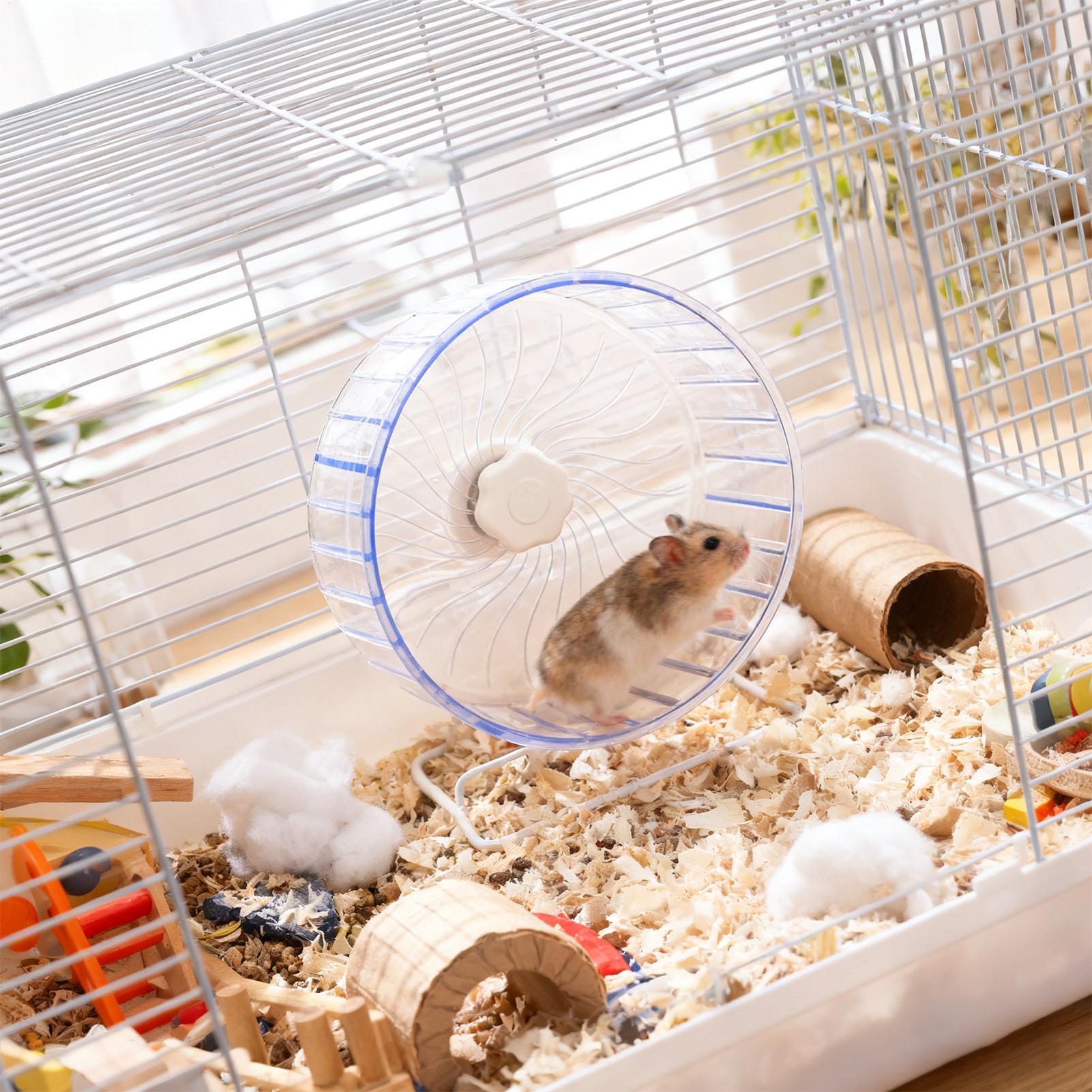 Ruota da Corsa Trasparente All - Hamster Cage Wheel recensione e prezzo