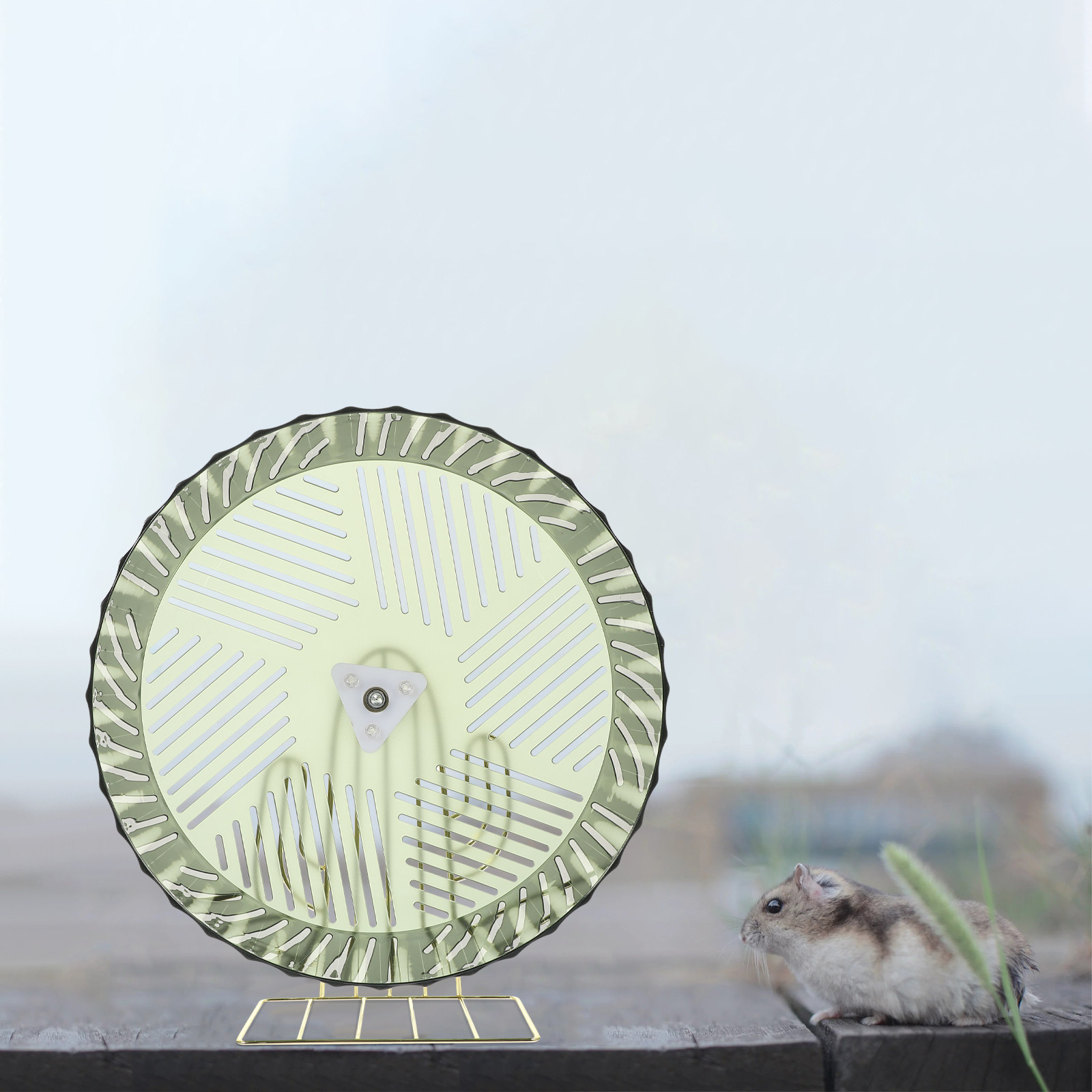 Ruota per Esercizi per Criceti - Hamster Cage Wheel recensione e prezzo