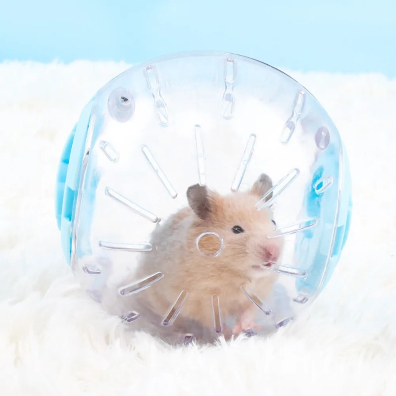 Palla sportiva in plastica per - Hamster Cage Wheel recensione e prezzo
