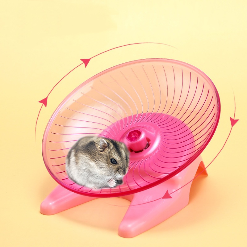 Ruota per Esercizi Silenziosa  - Hamster Cage Wheel recensione e prezzo
