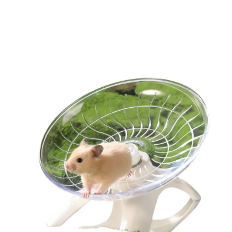 Ruota per Esercizi Silenziosa  - Hamster Cage Wheel recensione e prezzo