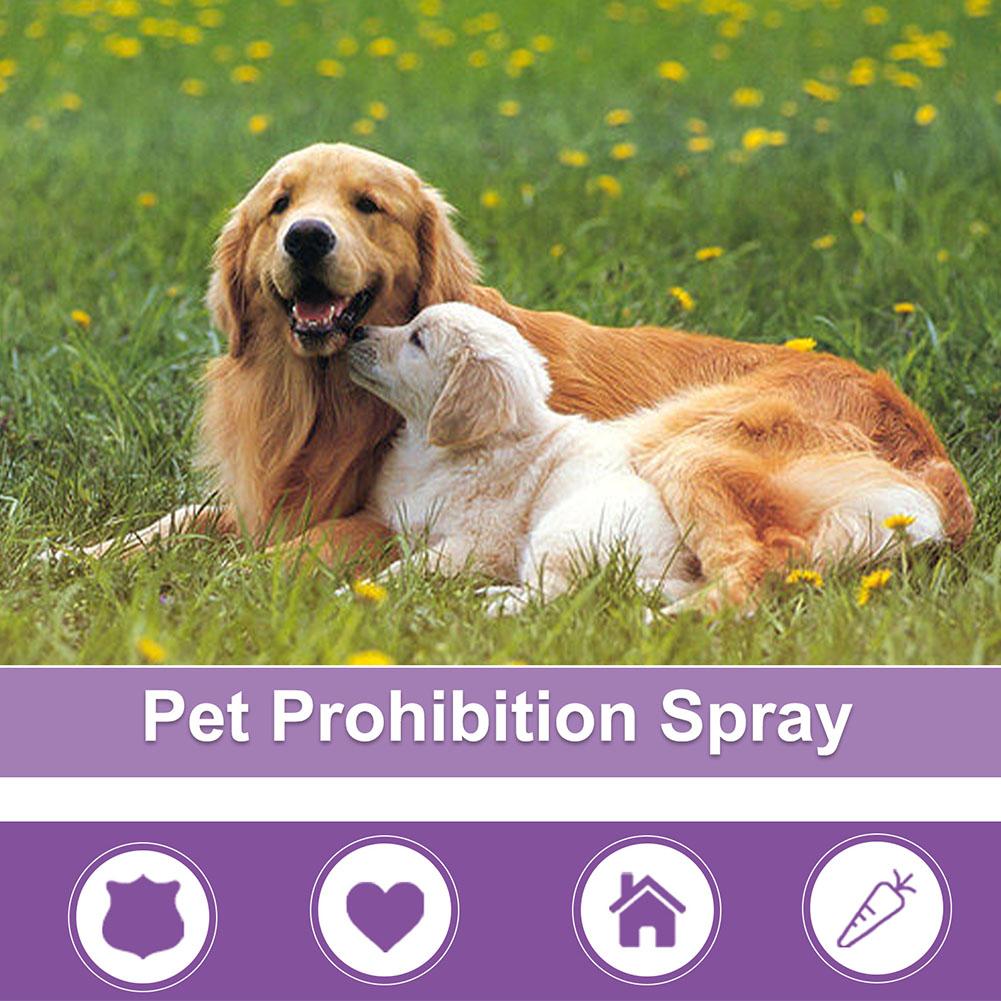 Spray Calmante per Animali Dom - Pet Supplies App recensione e prezzo