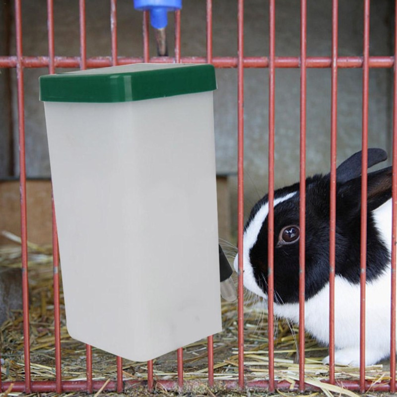 Dispenser d'Acqua per Animali  - Pet Supplies App recensione e prezzo