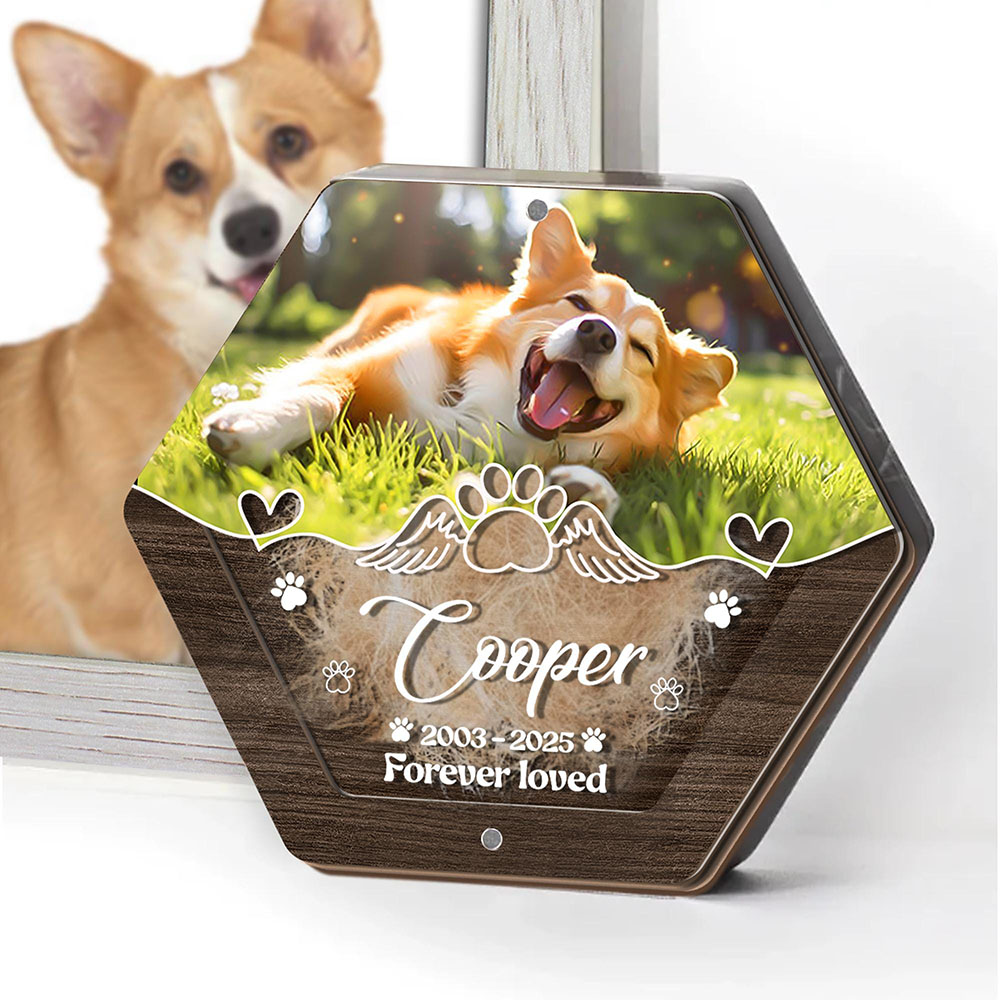Nome personalizzato Scatola po - Pet Supplies App recensione e prezzo