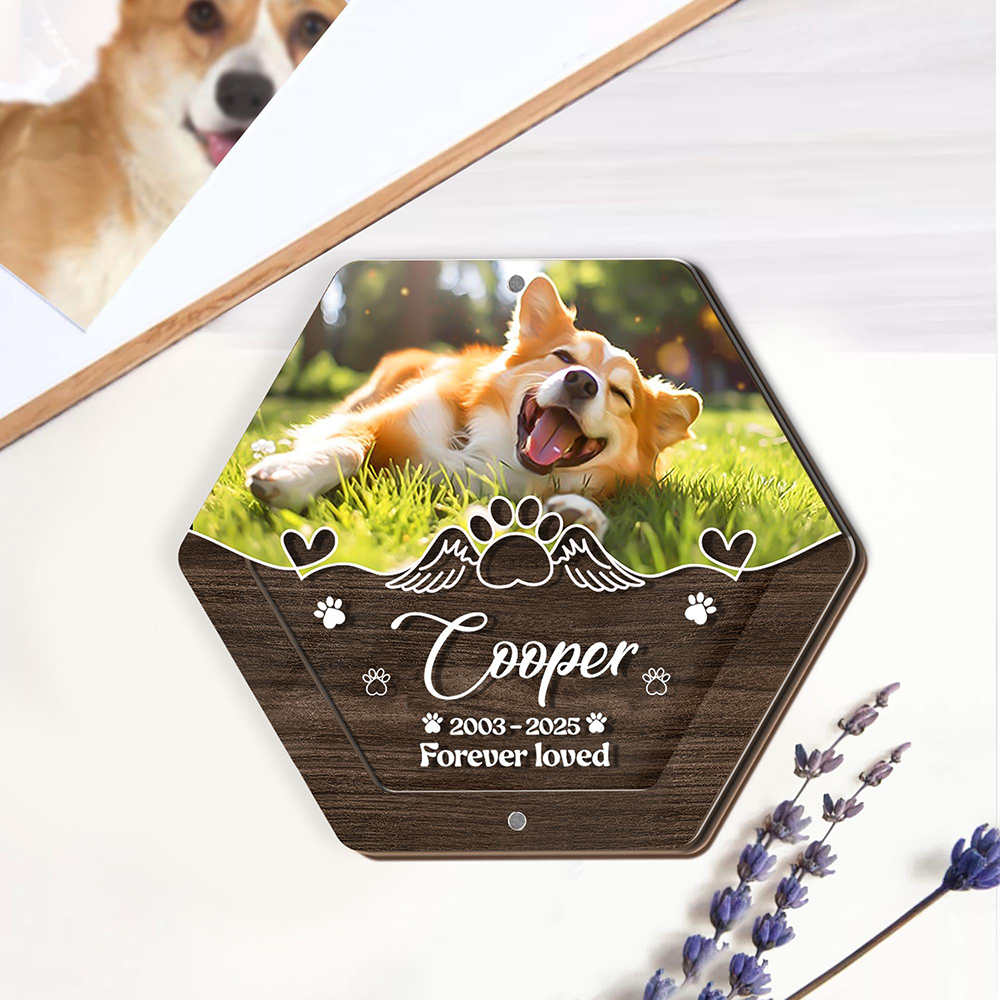 Nome personalizzato Scatola po - Pet Supplies App recensione e prezzo