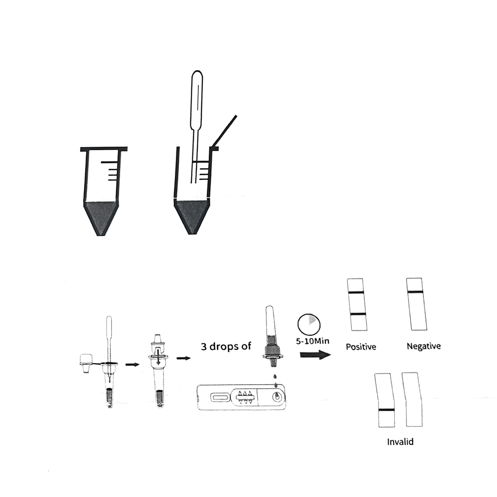 1set/5set Kit professionale pe - Pet Supplies App recensione e prezzo