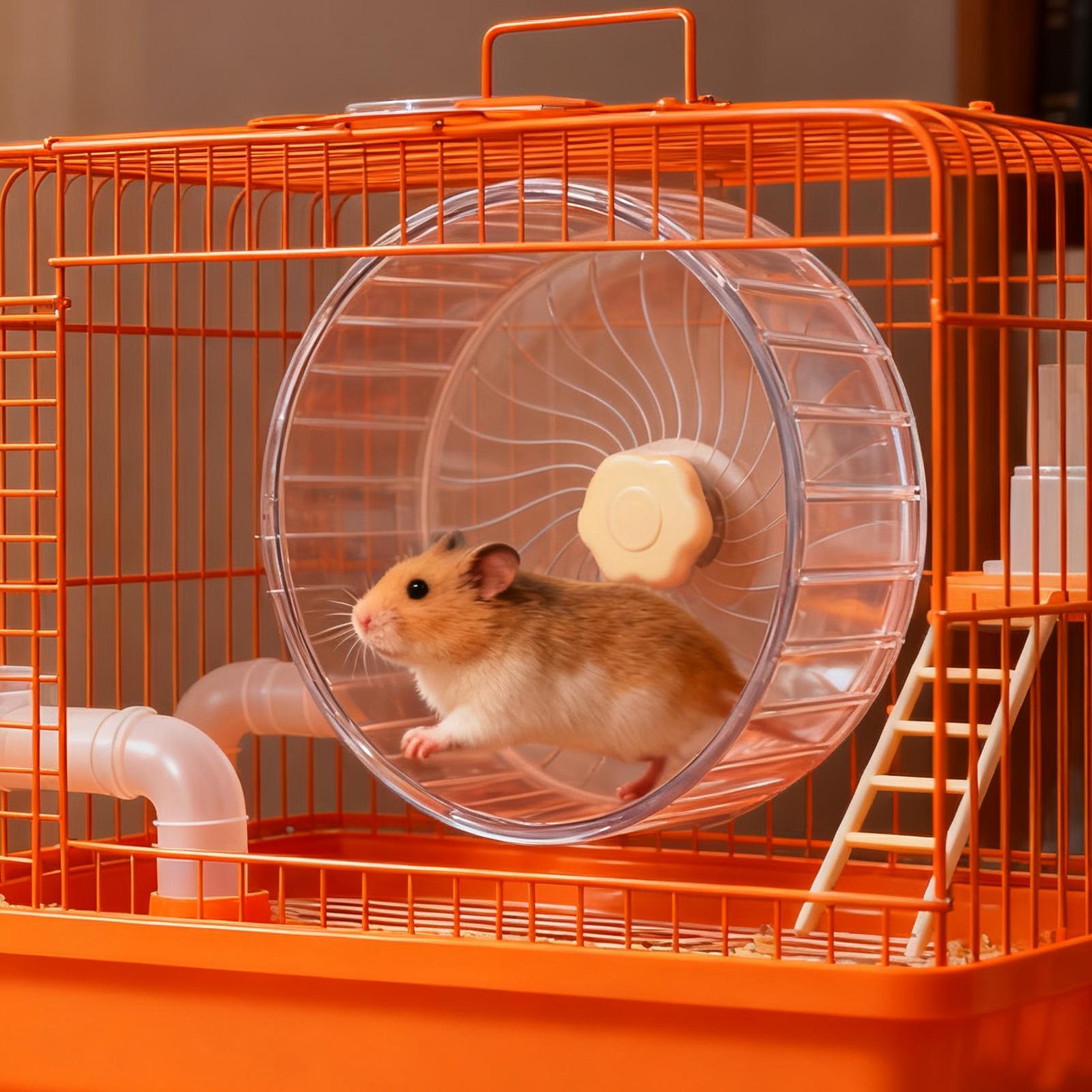 Ruota Silenziosa per Criceti c - Hamster Cage Wheel recensione e prezzo