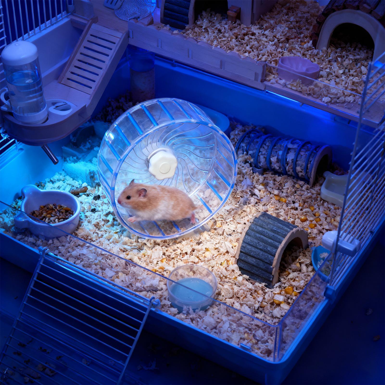 Ruota Silenziosa per Criceti c - Hamster Cage Wheel recensione e prezzo