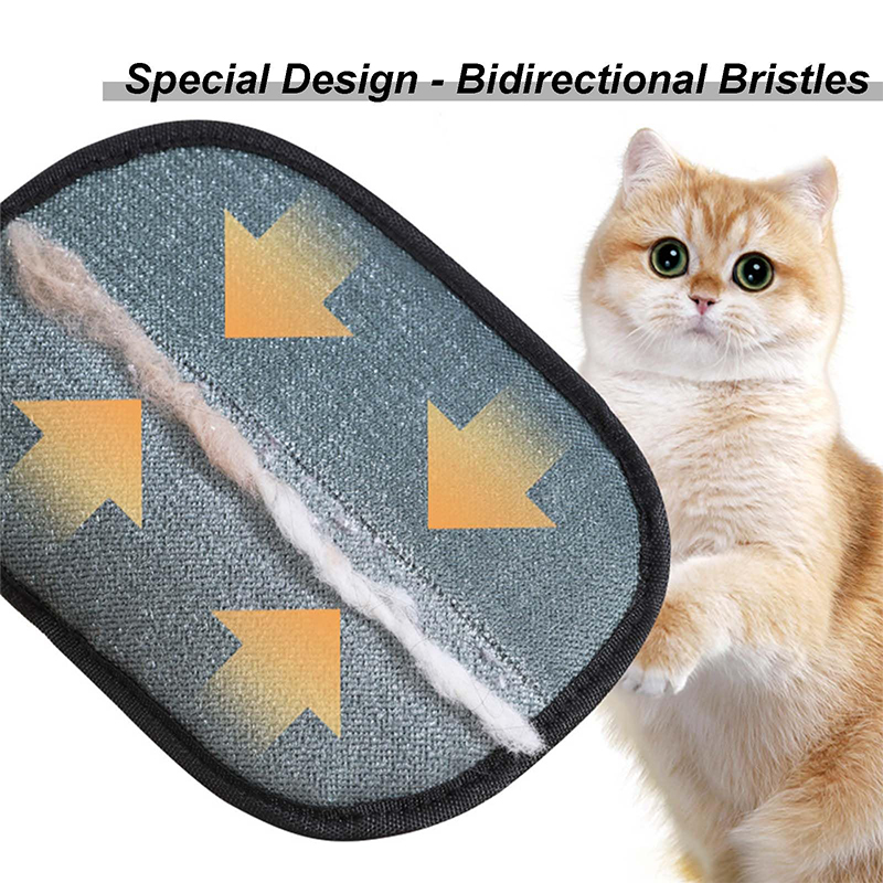 Nuovo Guanto Elettrostatico pe - Pet Supplies App recensione e prezzo