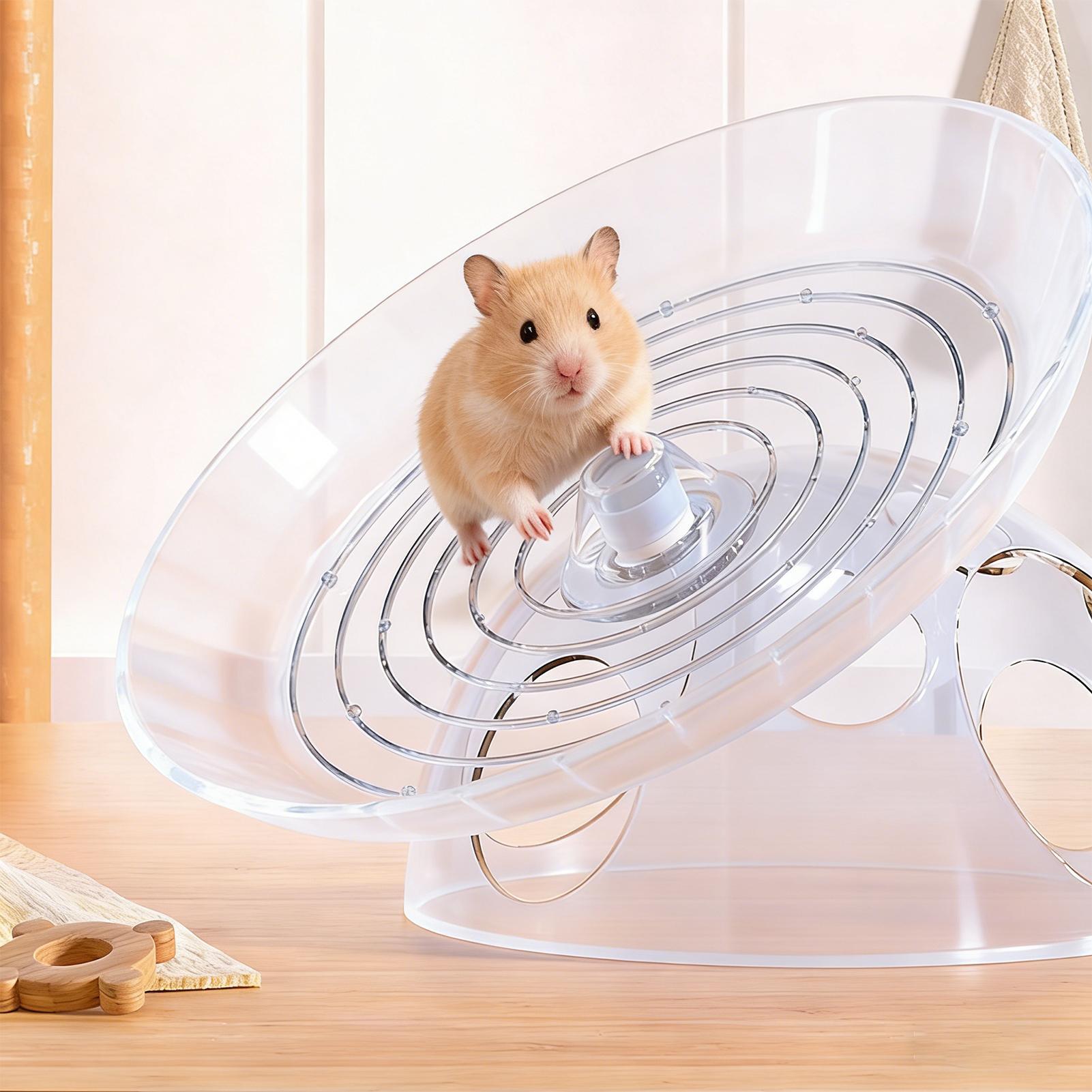 Ruote per criceti Antiscivolo  - Hamster Cage Wheel recensione e prezzo