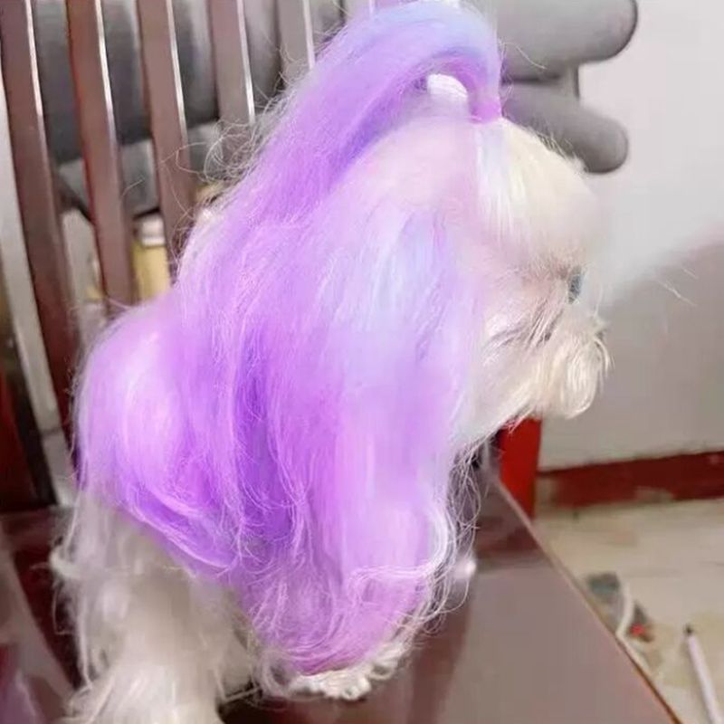 Pet Dye Cream 80g Semi permane - Pet Supplies App recensione e prezzo